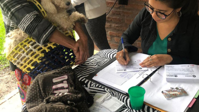 Quirófano Móvil: vacunas y castraciones gratuitas en los barrios de Resistencia