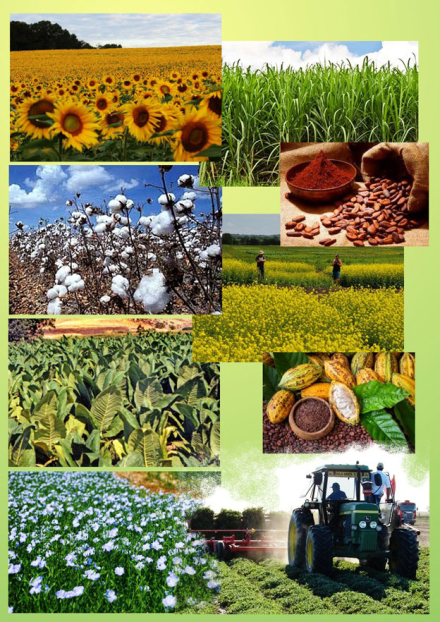 cul-indust11.jpg