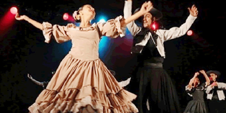 baile-gato.jpg