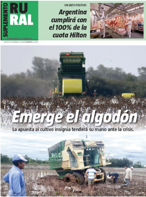 Emerge el algodón