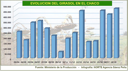 girasol2.jpg