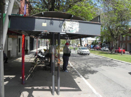 colectivos.jpg copy