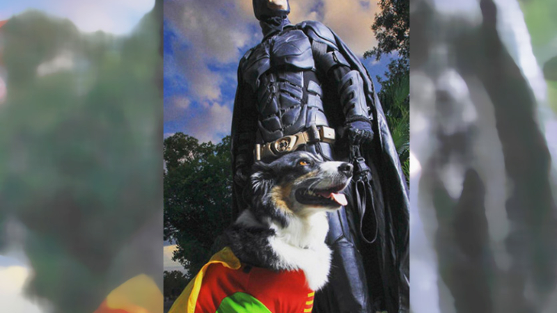 Se viste de Batman para rescatar animales y buscarles un dueño