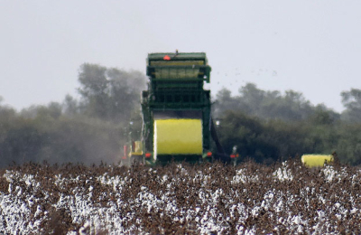 Chaco recibirá 60 millones de pesos del fondo algodonero