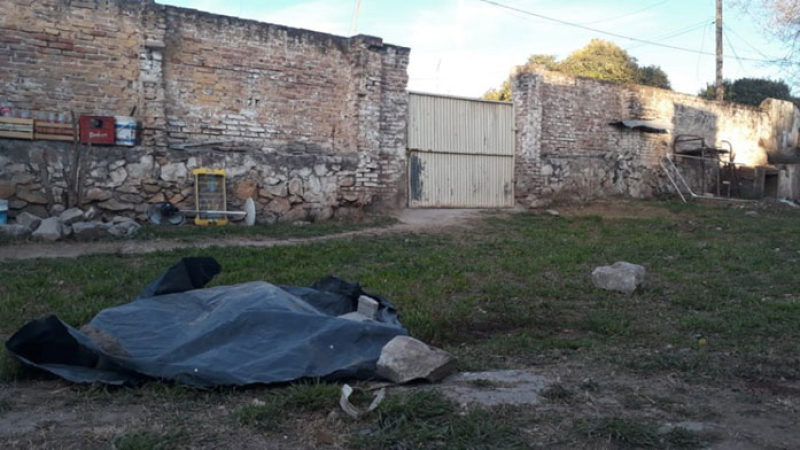 Un perro atacó a cuatro personas y lo mataron a palazos