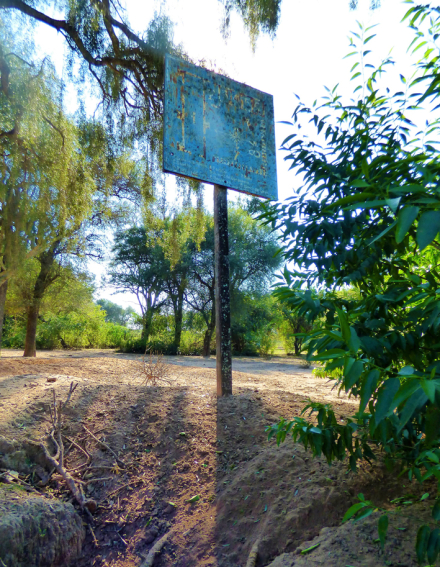 05.jpg