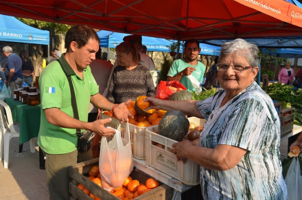 fruta .jpg