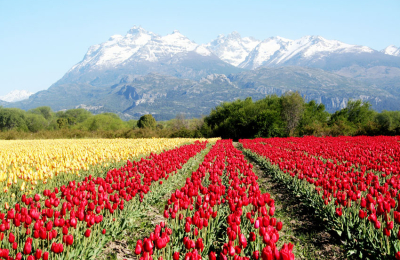 El magnífico despertar de la primavera en el sur argentino