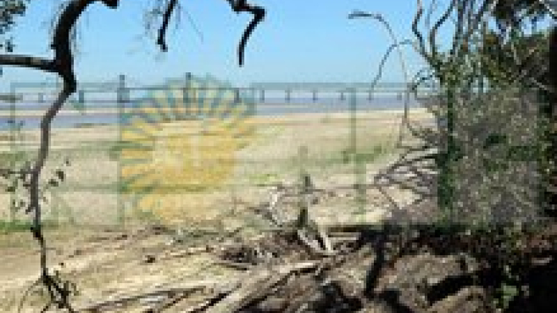 El río Paraná deja expuesta la costa chaqueña