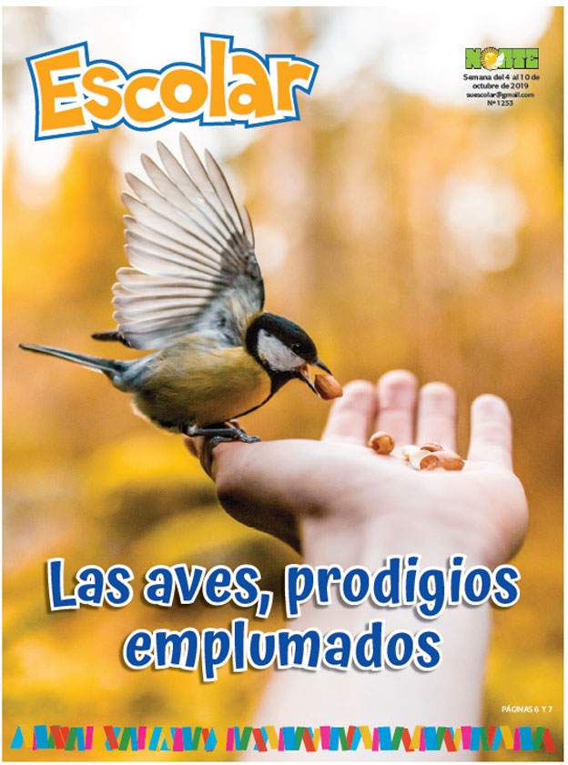 Las aves, prodigios emplumados