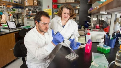 Investigadores descubren a las proteínas causantes de la metástasis del cáncer de mama a los huesos