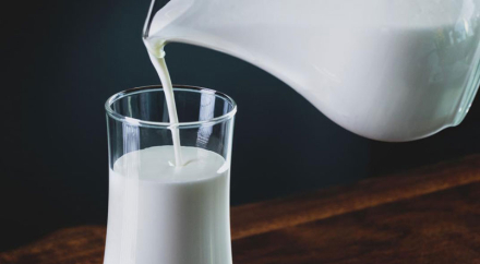 lacteos-leche5.jpg