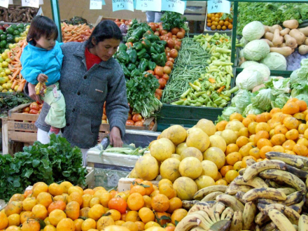 VERDURAS-CARAS4.jpg