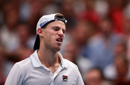 Schwartzman.jpg