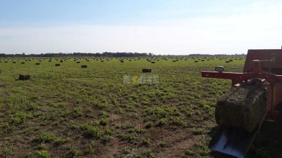 Producción posterga hasta mediados de marzo el pago de compensaciones agropecuarias