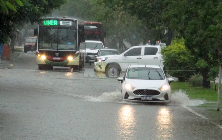LLUVIA7.jpg