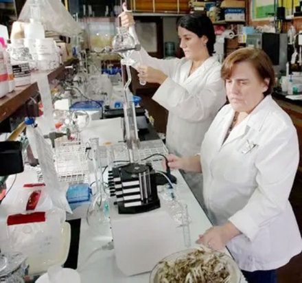 2-cientificas-conicet.jpg