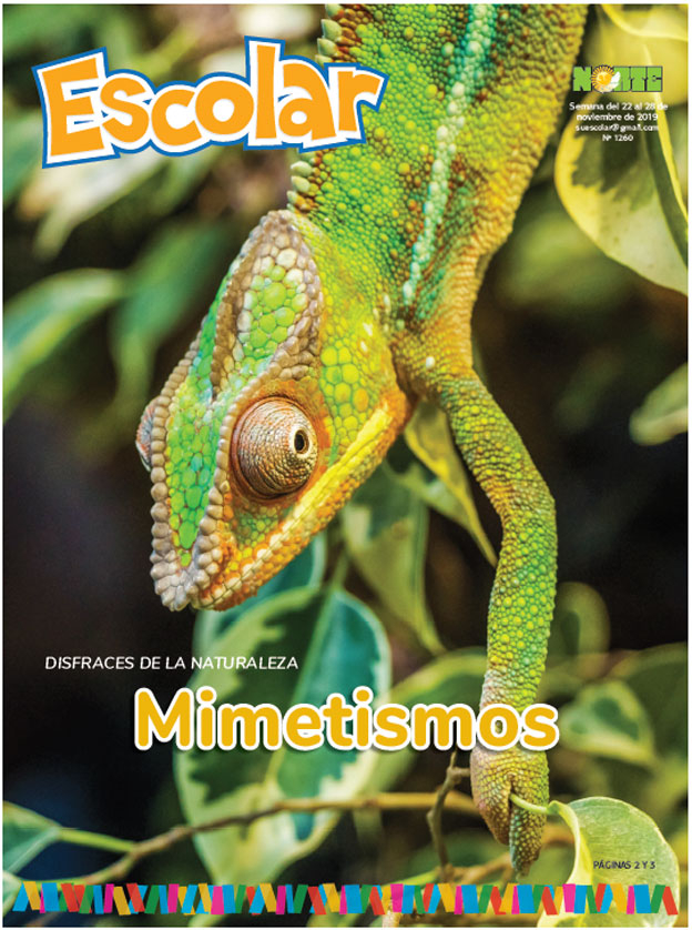 Mimetismos