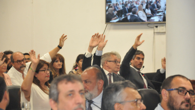 Diputados esperan definiciones del gobierno que comenzará su gestión