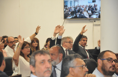Diputados esperan definiciones del gobierno que comenzará su gestión