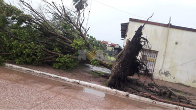 Coronel Du Graty azotado por la fuerte tormenta