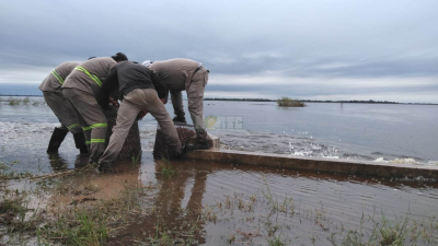 Sudoeste: un año complicado con la lluvia que termina en las rutas con el aumento de retenciones