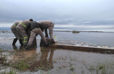 Sudoeste: un año complicado con la lluvia que termina en las rutas con el aumento de retenciones