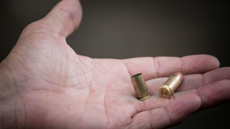 Una adolescente santiagueña falleció por una bala perdida durante los festejos navideños en Moreno