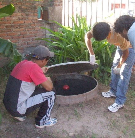 dengue2.jpg