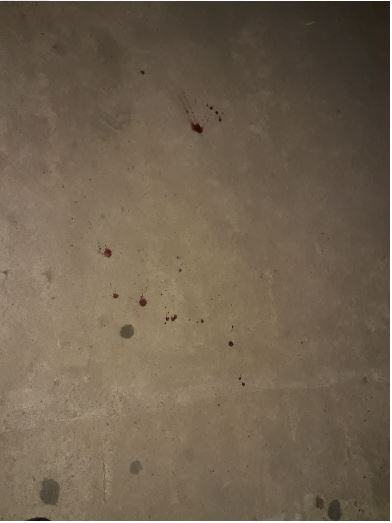 trapito baleado 2.JPG