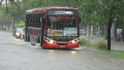 Se reanudó el servicio de colectivo