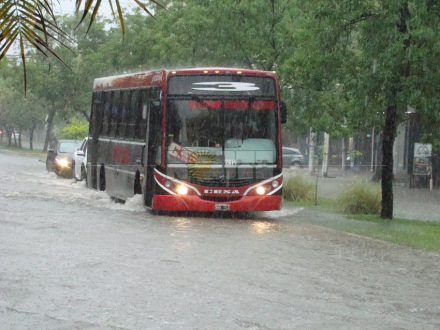 colectivo02.jpg