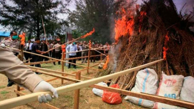 Todo un pueblo drogado por la quema de tres toneladas de marihuana