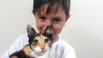 Lautaro y Hermosa: la historia de un pequeño y su gatita rescatada que se hizo viral