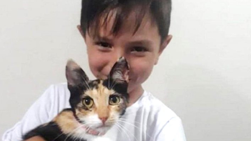 Lautaro y Hermosa: la historia de un pequeño y su gatita rescatada que se hizo viral