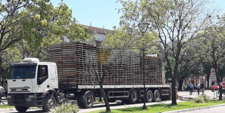 camion5.jpg