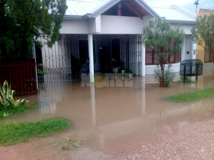 charata5.jpg