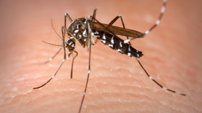 Suben de 20 a 34 los muertos por dengue en Paraguay en una semana