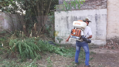 Sáenz Peña le hace frente al mosquito transmisor del dengue