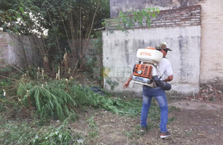 dengue fumigan1.jpg