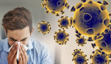 coronavirus2.jpg
