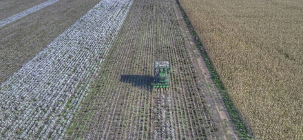 rural.jpg