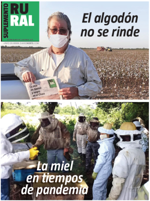 El algodón no se rinde