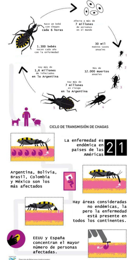 chagas2.jpg