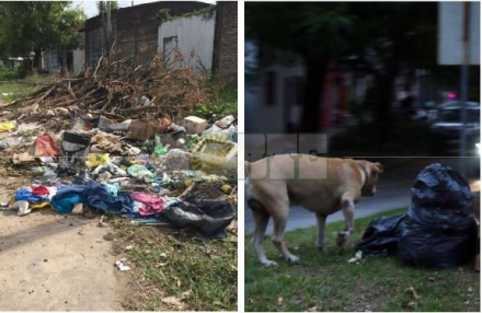 basura Rcia.JPG