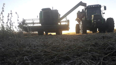 La bandera la debe llevar la agroindustria