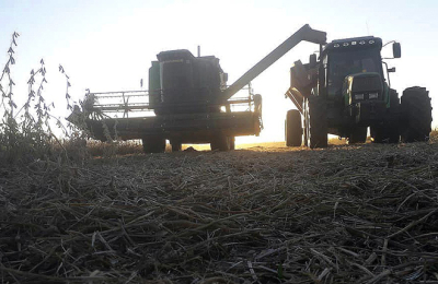 La bandera la debe llevar la agroindustria