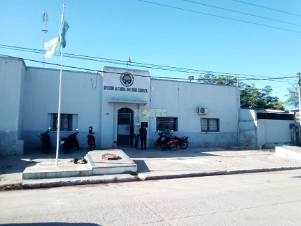 58alcaidia charata.jpeg