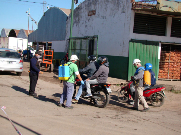Foto 5