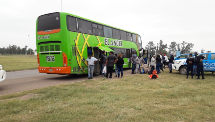 colectivo.jpg